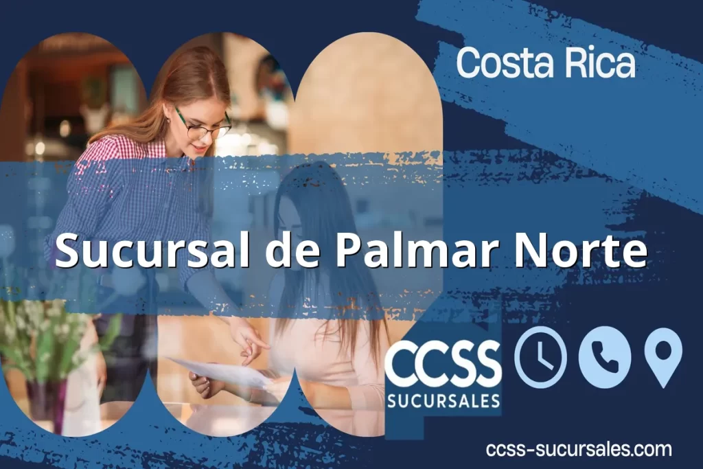 palmar-norte