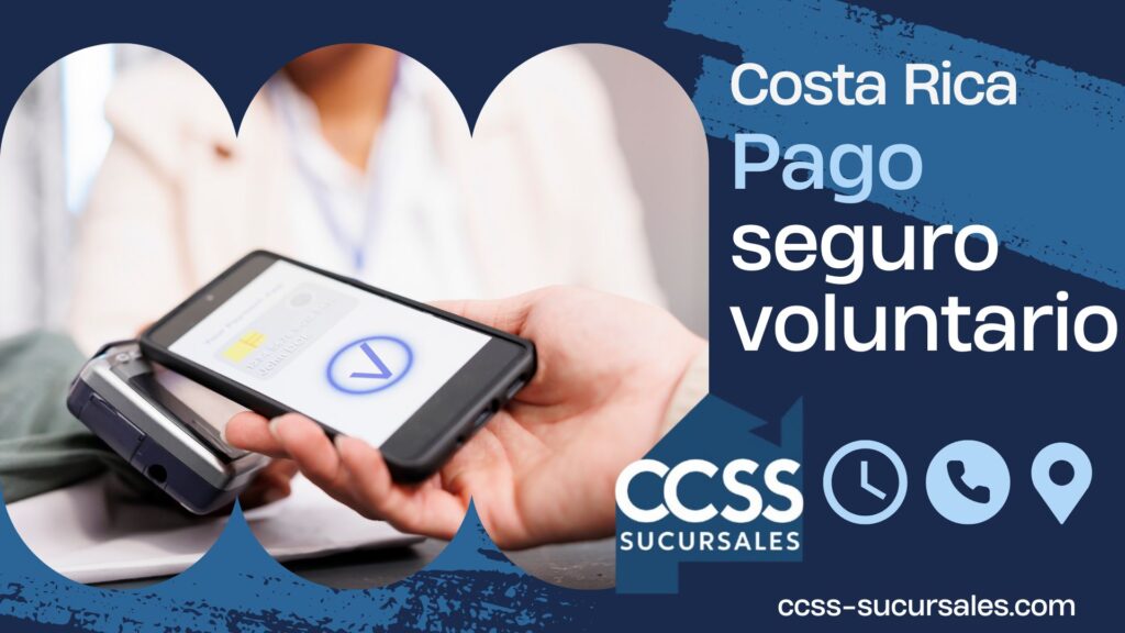 pago seguro voluntario